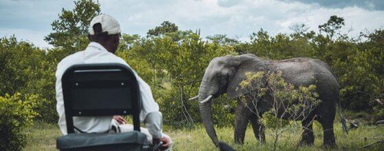 Safari in Tanzania