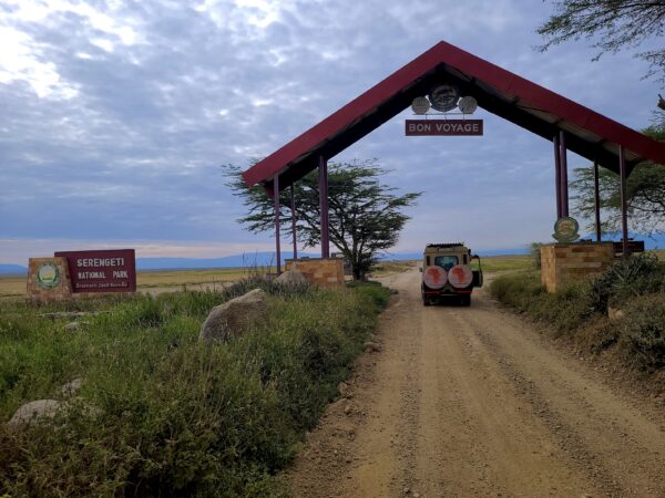 3 day safari serengenti and ngorongoro