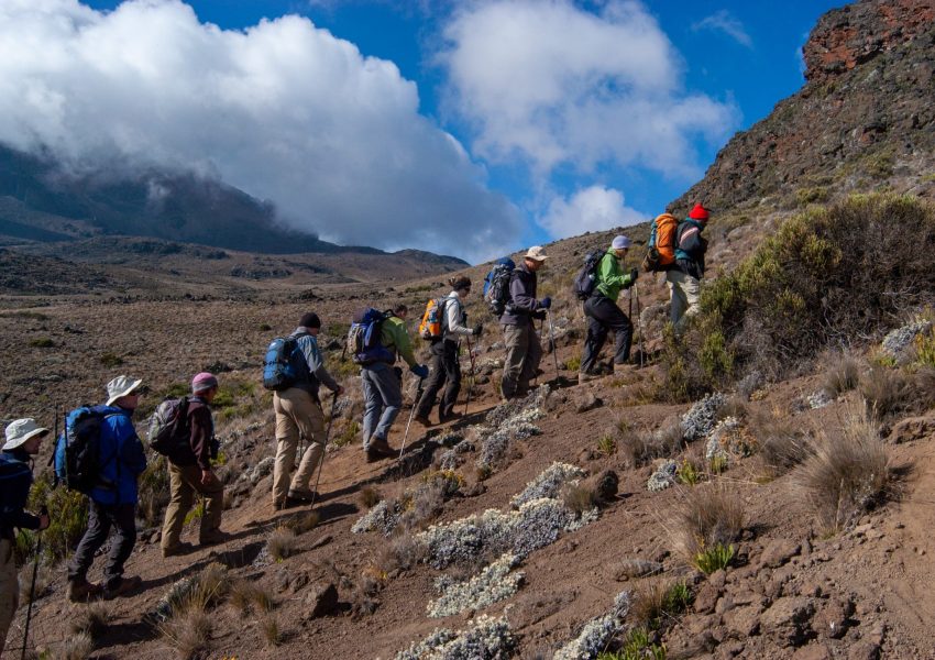 Marangu Route Kilimanjaro Trek
