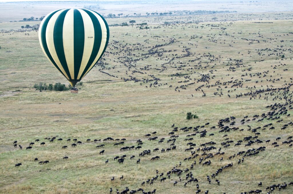 the Great Migration Safari 