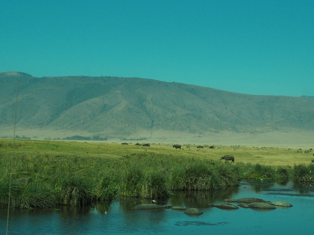 The classic view of Ngorongoro Crater