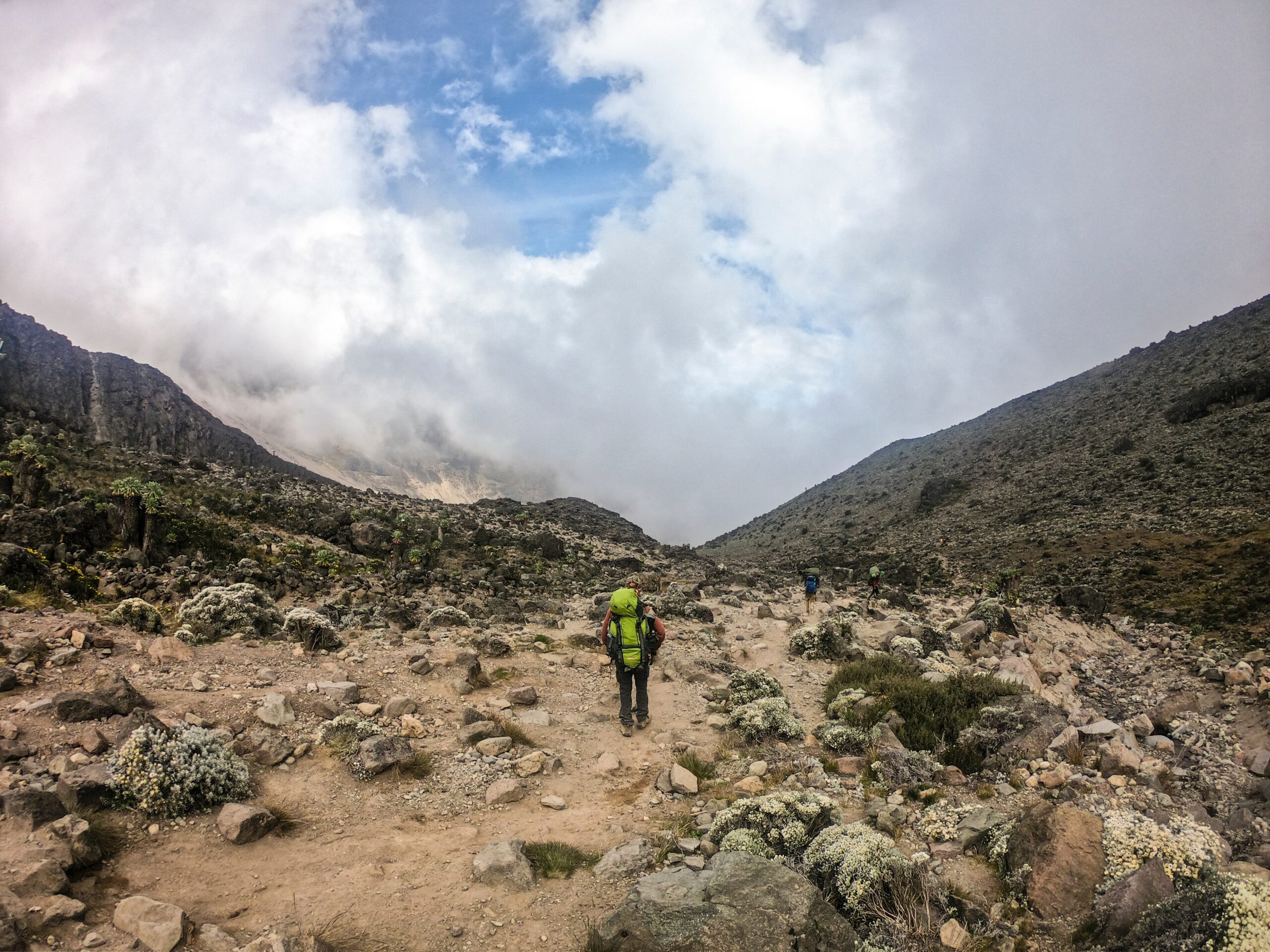 Paysage de la voie Rongai