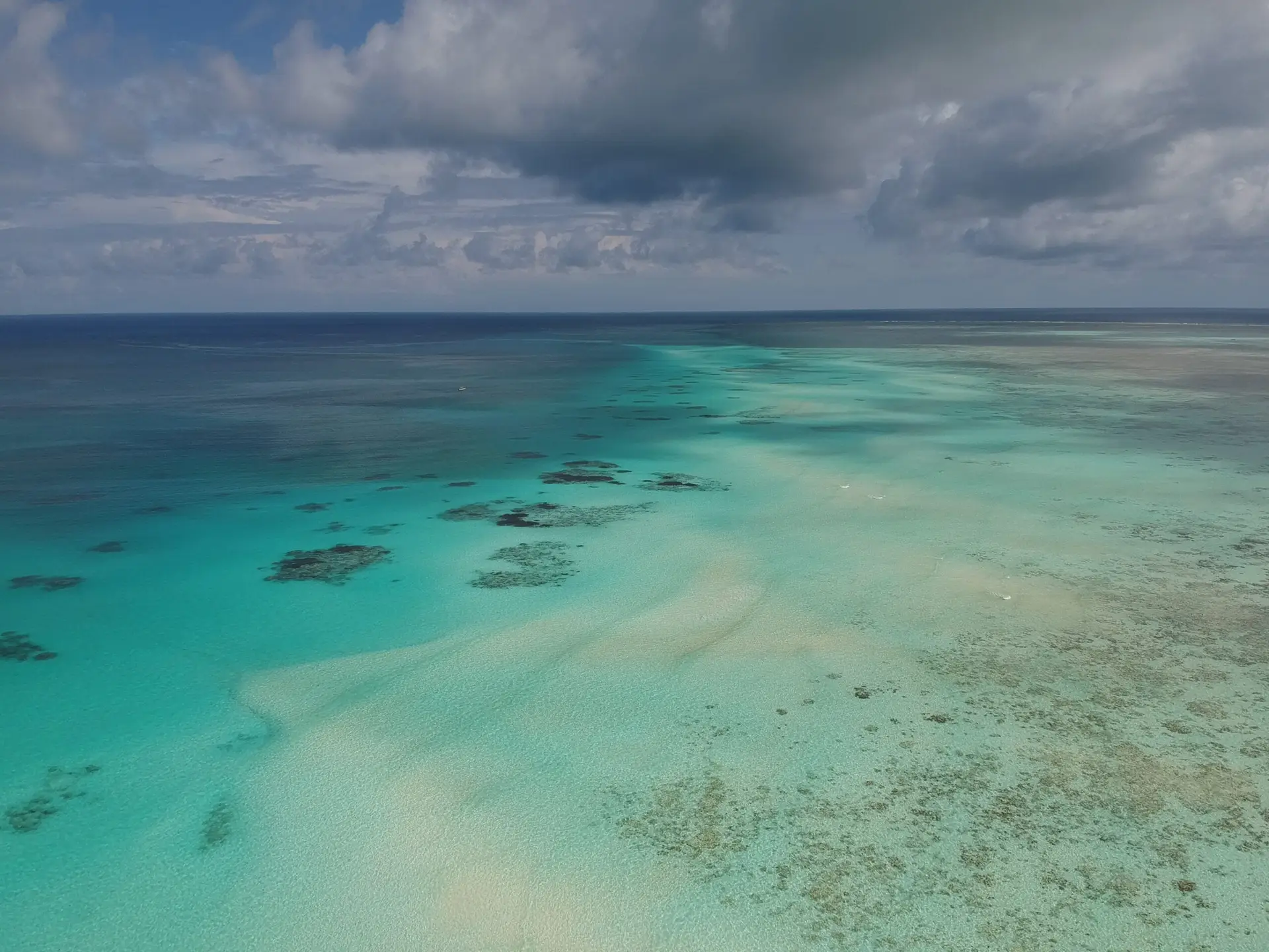 pemba island zanzibar