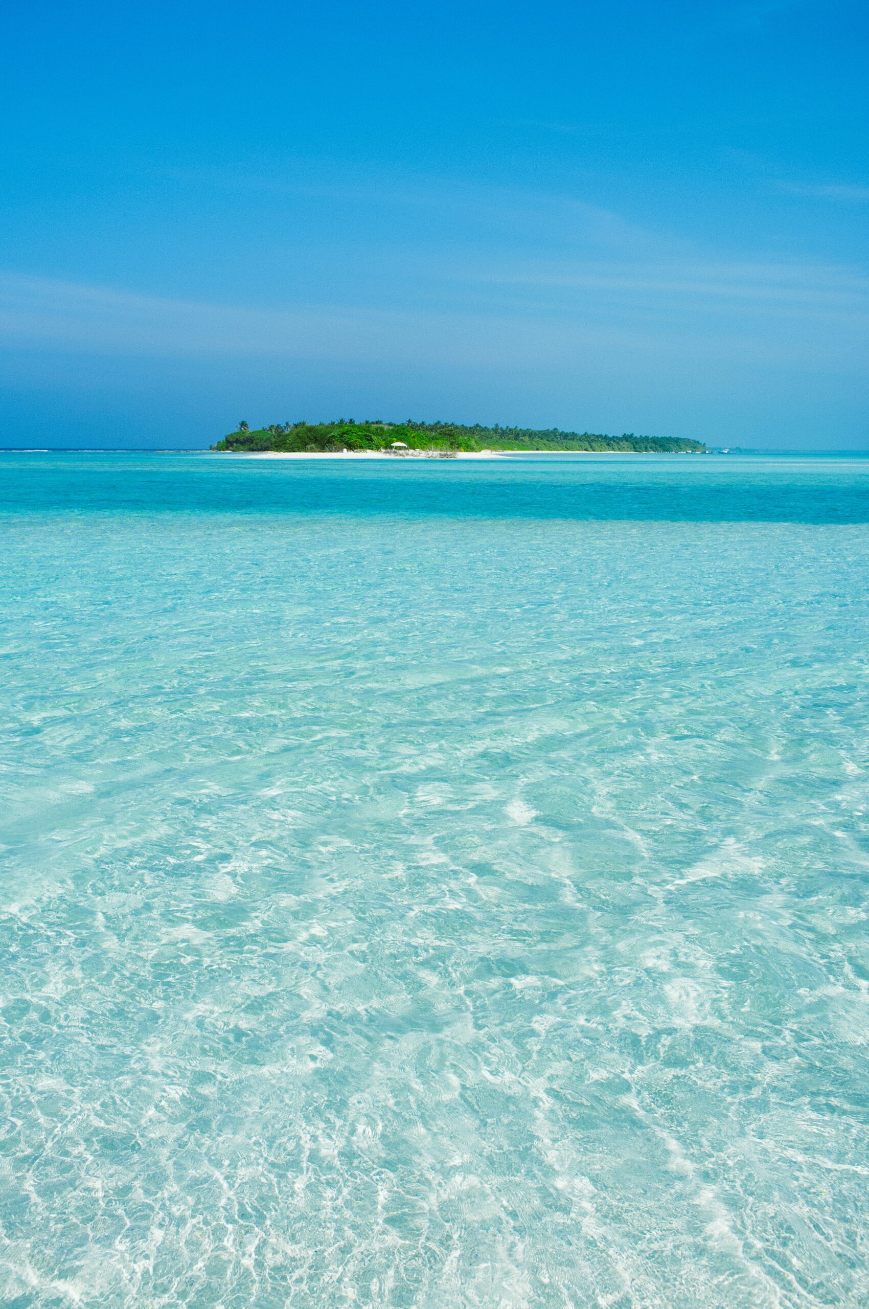 crystal-clear turquoise waters on your zanzibar all inclusive package