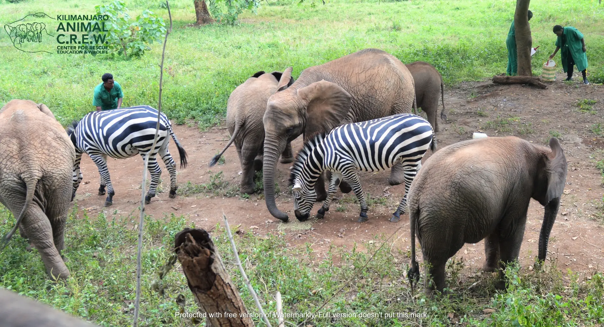 Kilimanjaro guides and crew preparing for a hike from Moshi
