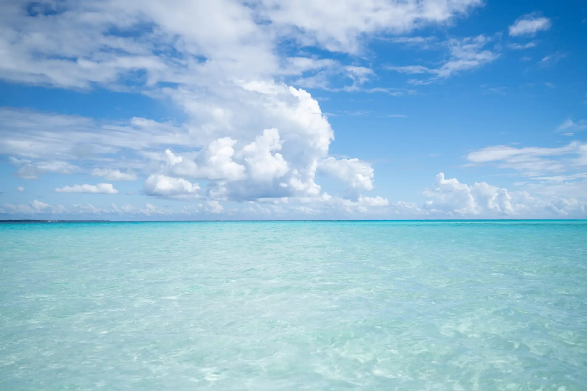 pemba island zanzibar