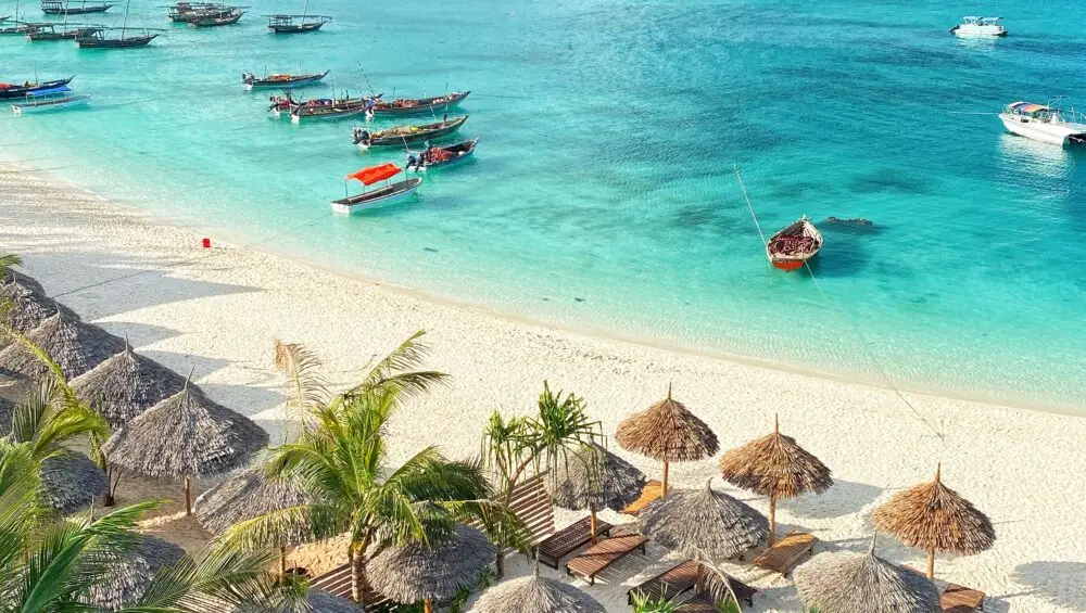 When is the Best Time to Go to Zanzibar ?