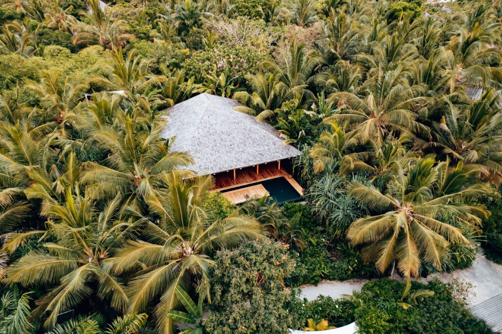 Best Time to Go to Zanzibar 