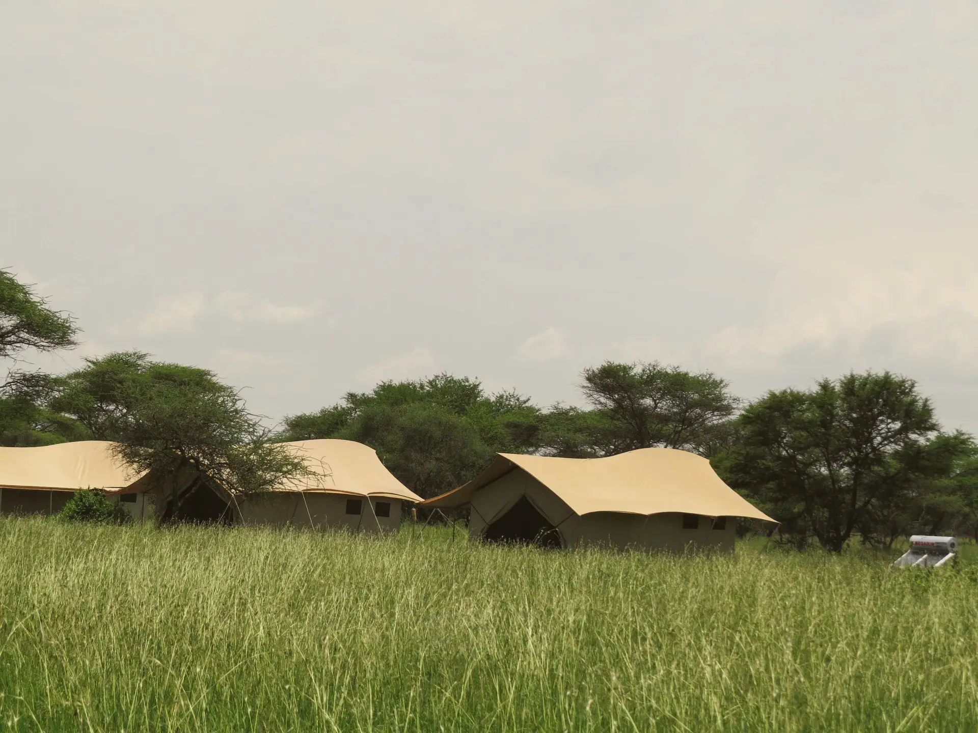 Pamoja migration camp tent