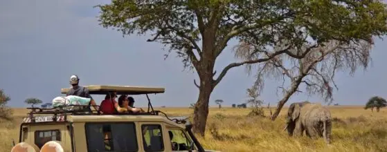 Africa Bucket List jeep