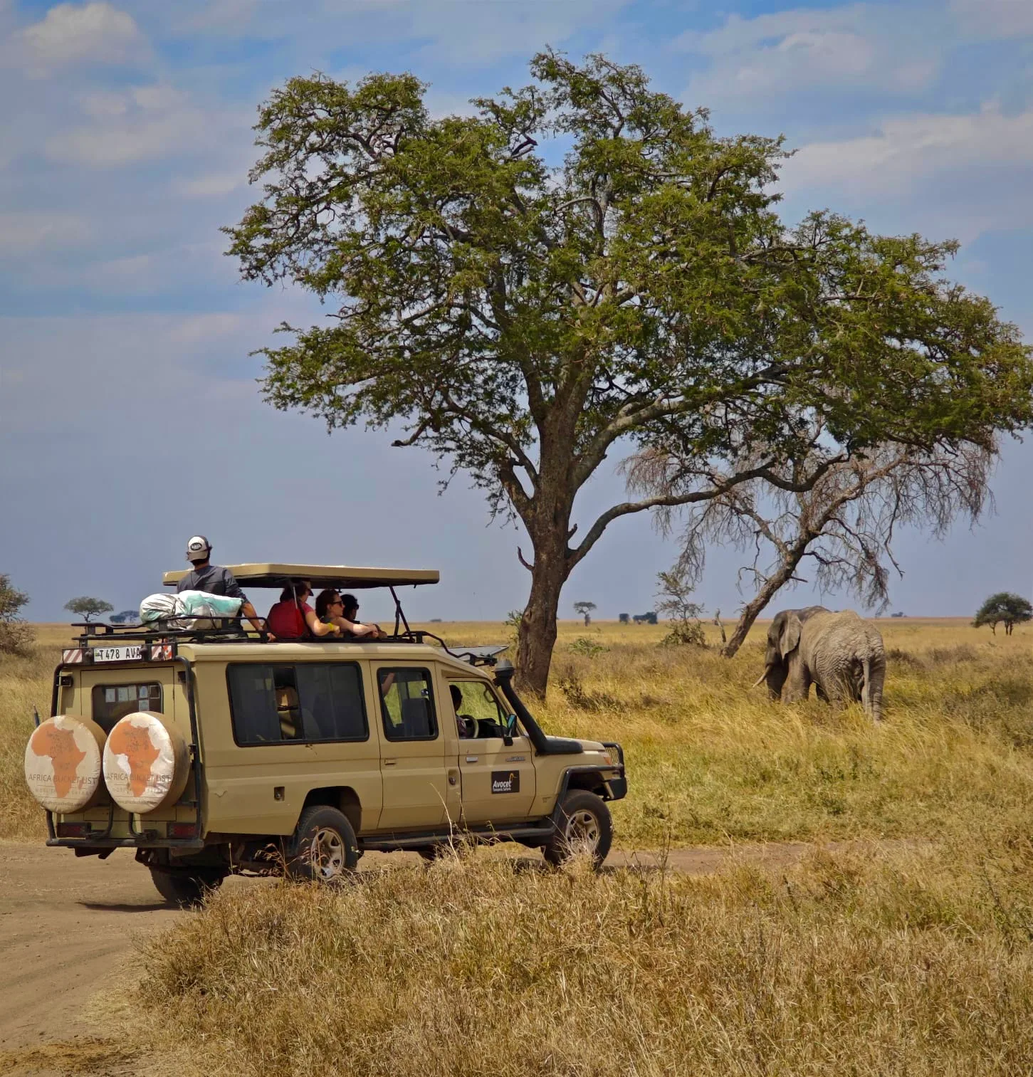 Véhicule de safari privé en Tanzanie