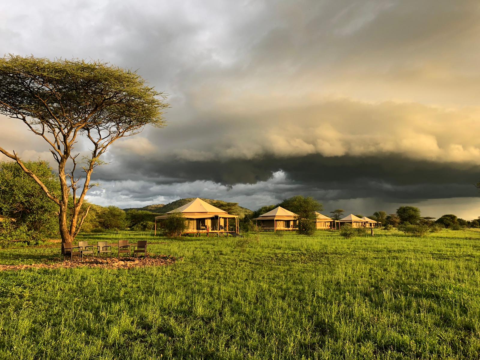 serengeti sound of silence tents