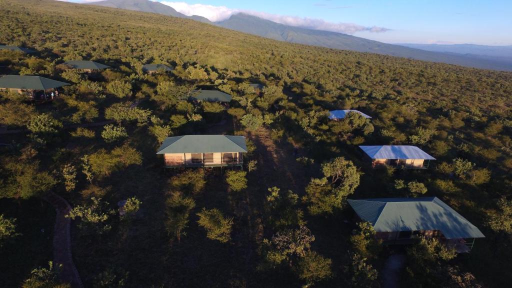 wild camp Ngorongoro