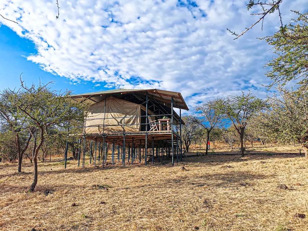 wild camp Ngorongoro