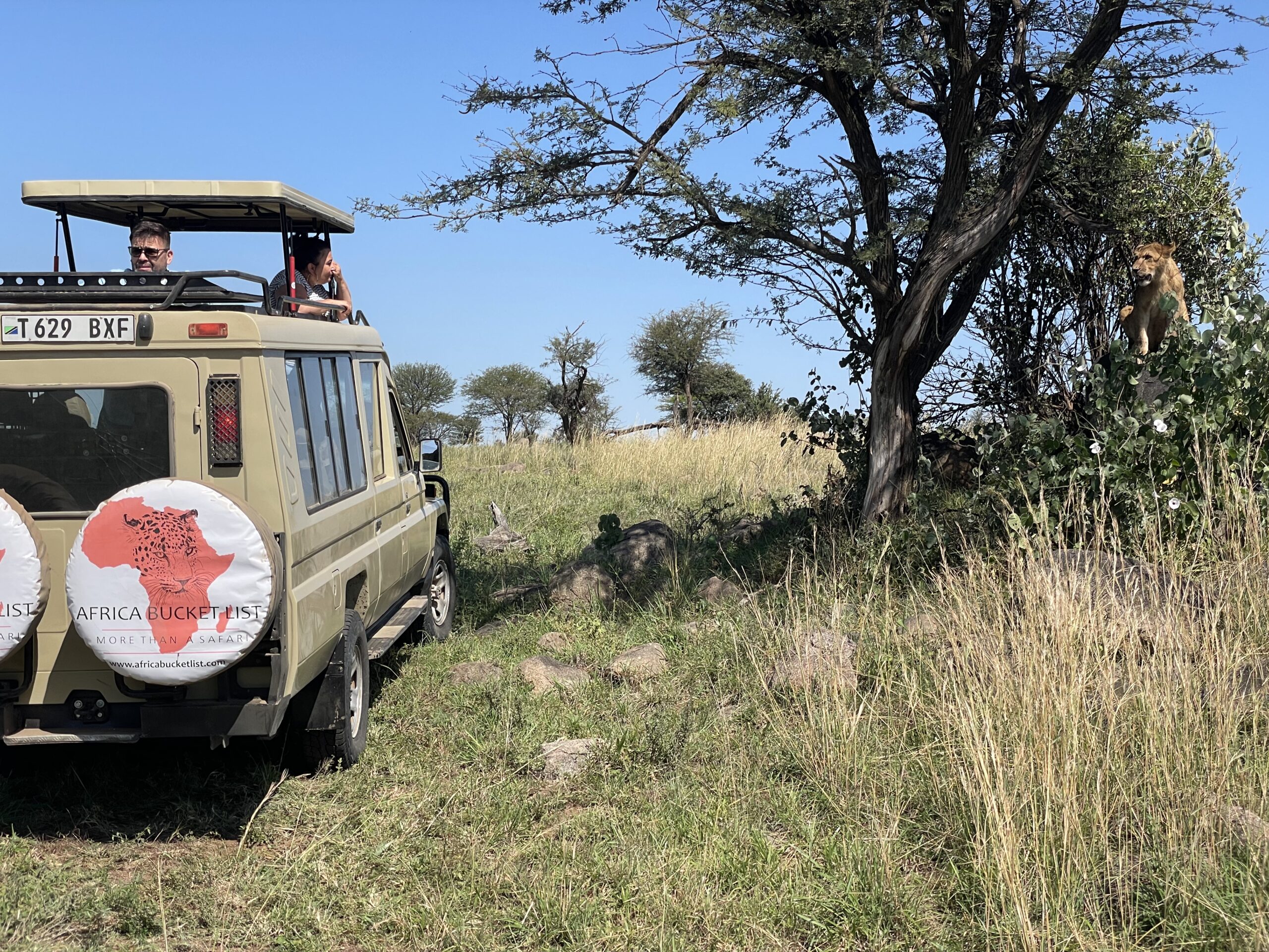 Photo of children in a safari jeep watching a lion