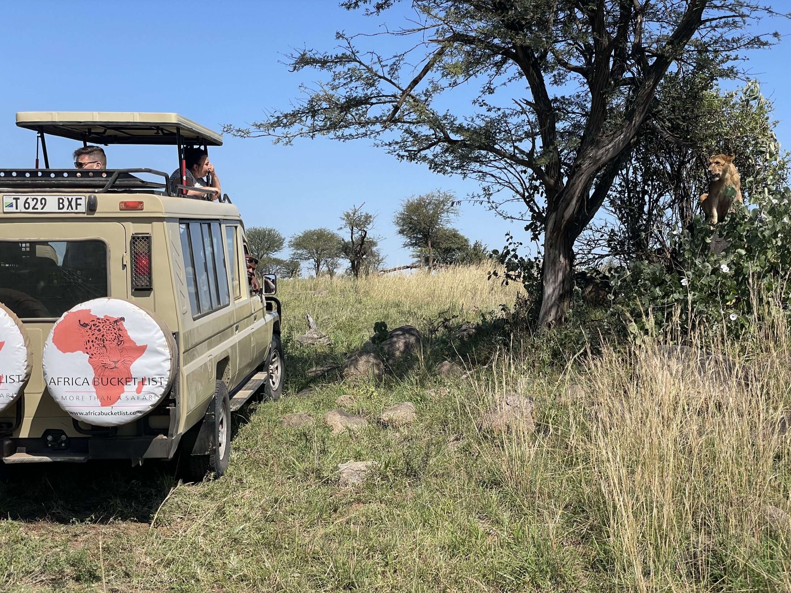 Équipe d'Africa Bucket List