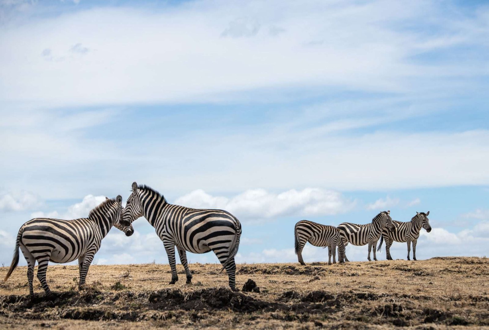 Safari 8 jours découverte parcs du Nord Tanzanie Serengeti Ngorongoro