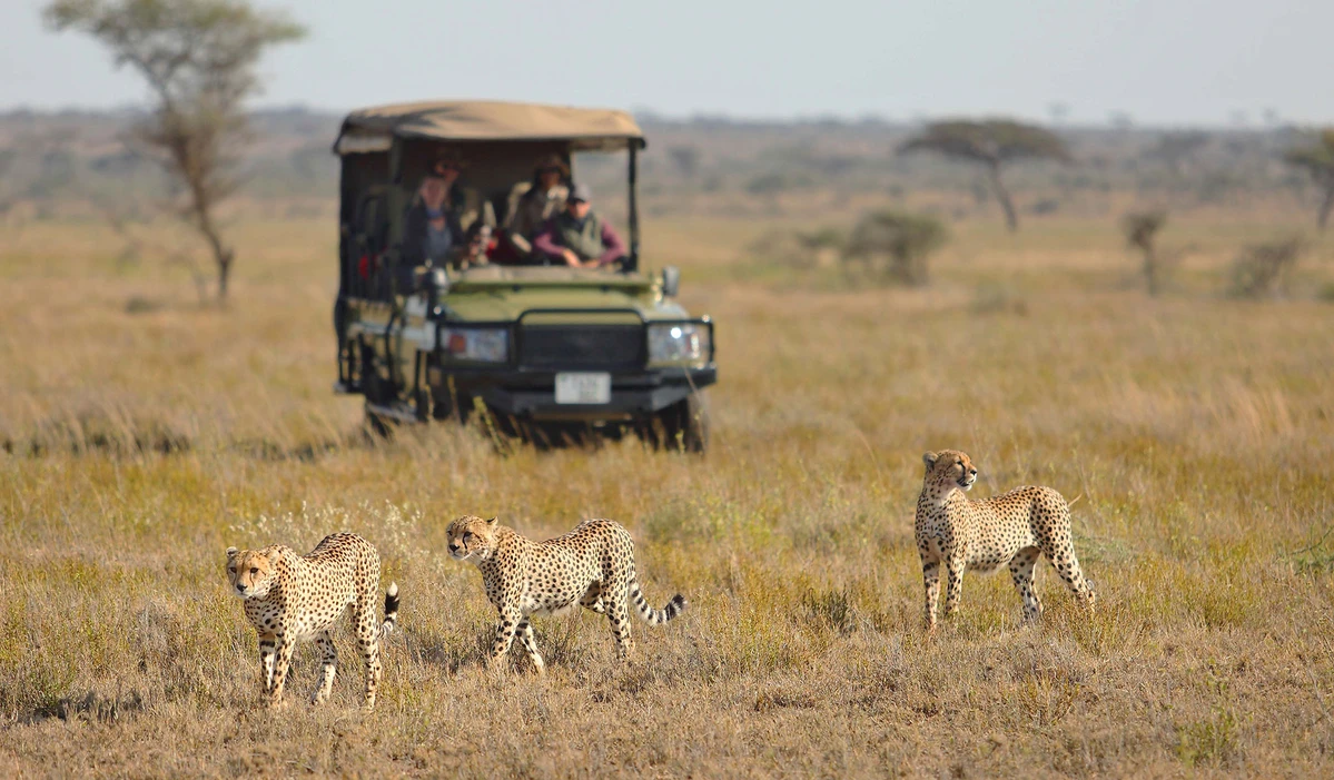 Grand Safari Complet Tarangire Serengeti Ngorongoro Zanzibar 7 jours