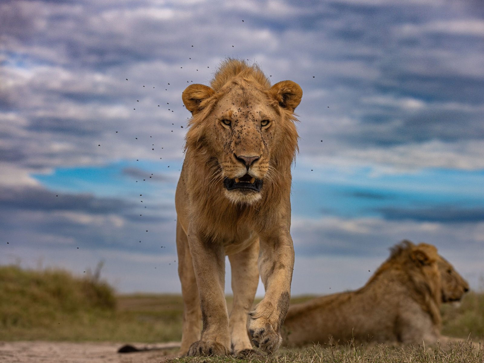 Entrée d'un parc national en Tanzanie