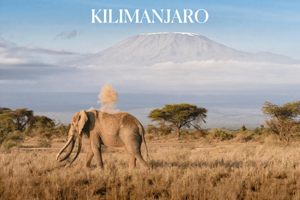 KILIMANJARO-min