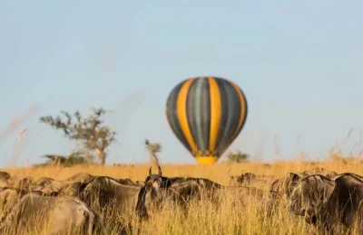 Miracle experiences balloon